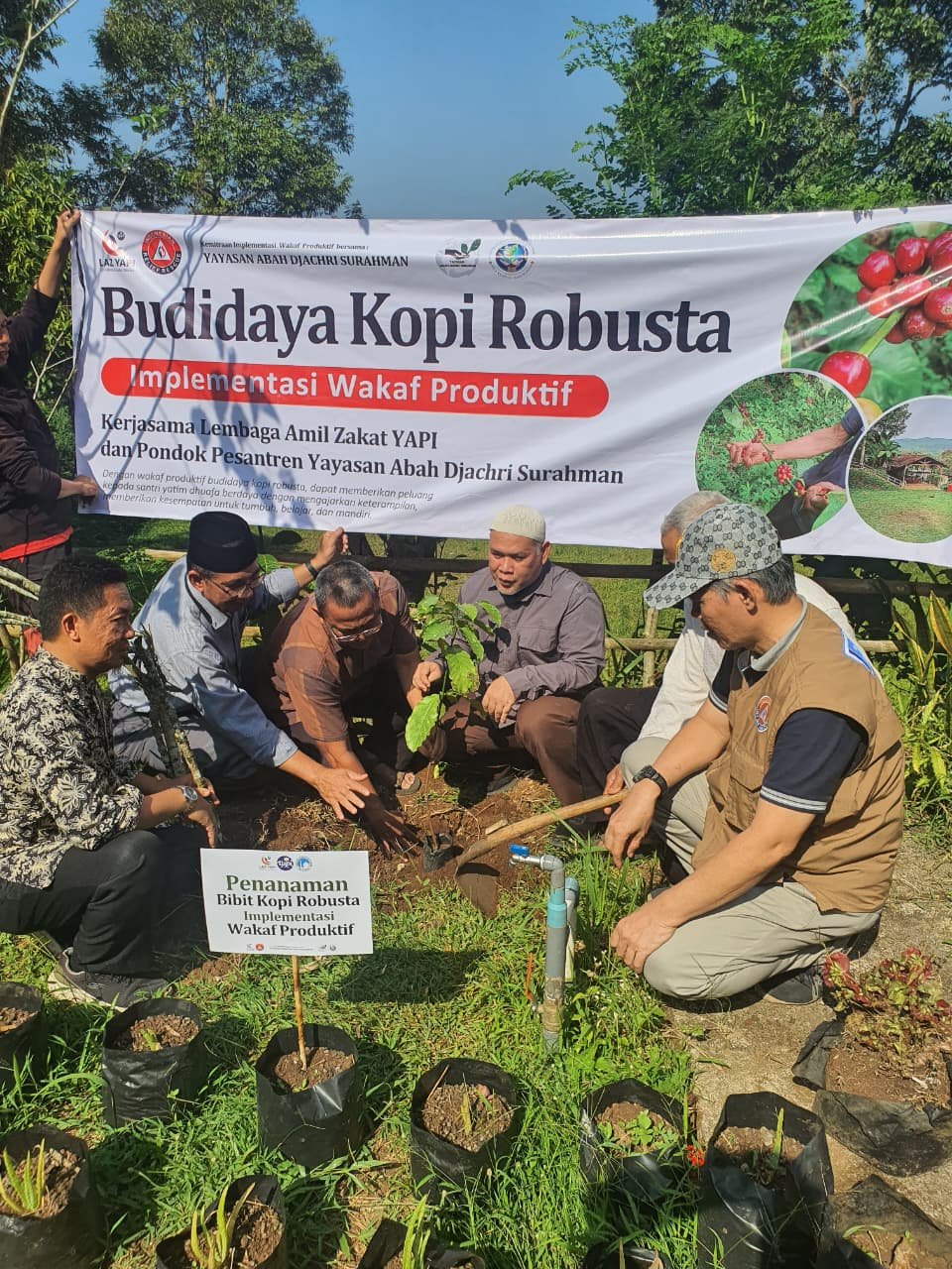 Wakaf Produktif Budidaya Kopi Robusta 